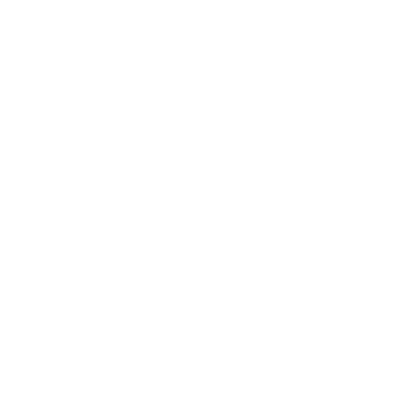 Burger Foolek